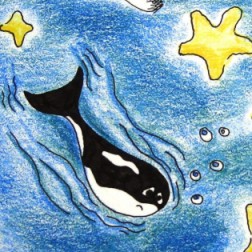 Wal (Grußkarte, Buntstift mit Tusche auf Papier)