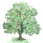Baum (13 x 17 cm)